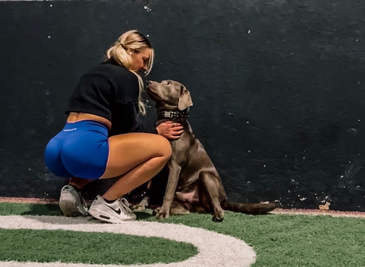 The Organ Your Dog's Vet Rarely Talks About (But Should) - GrrubPet