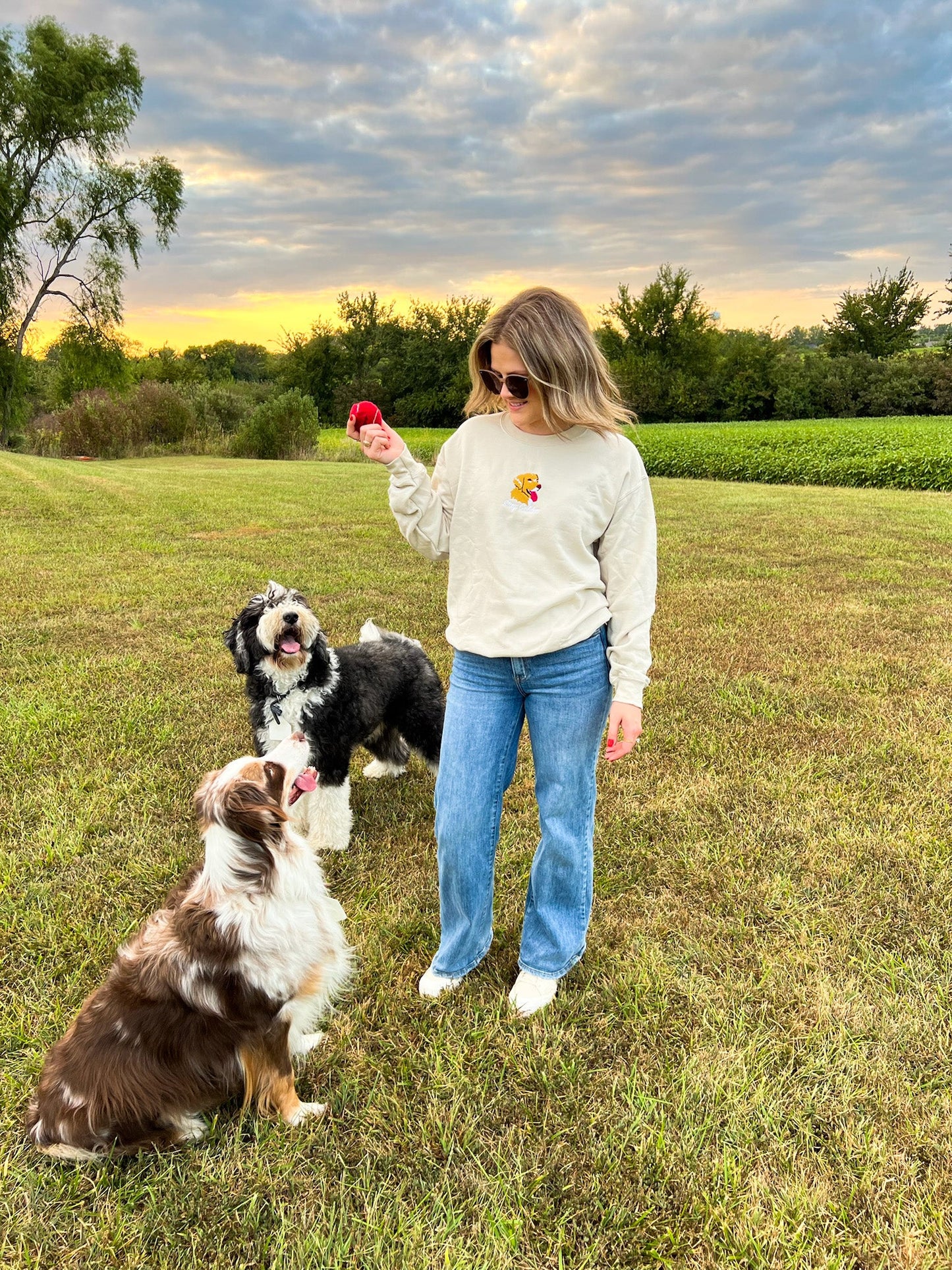 The Most Expensive Thing You Can Do for Your Dog's Health Is Nothing - GrrubPet