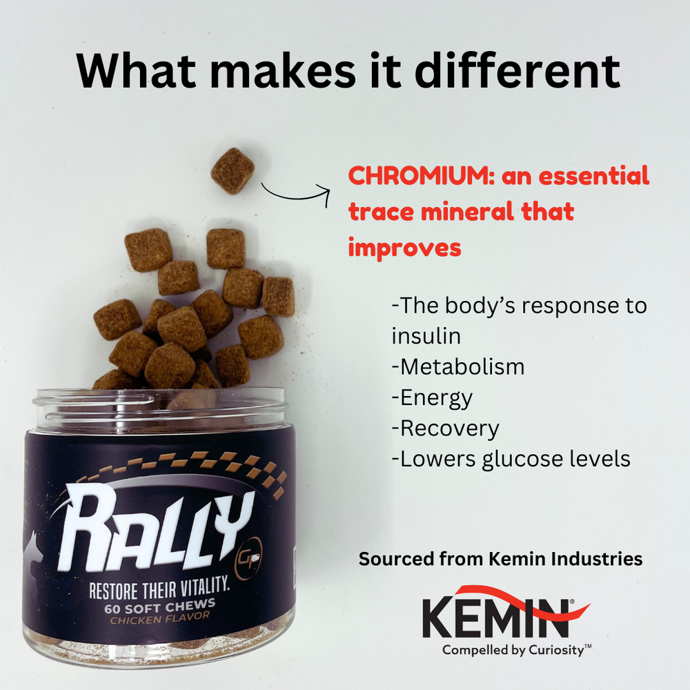 
                      
                        Picture of Rally dog supplement with CHROMIUM: an essential trace mineral that improves the body's response to insulin, metabolism, energy, recovery, lowers glucose levels. Sourced from Kemin Industries
                      
                    